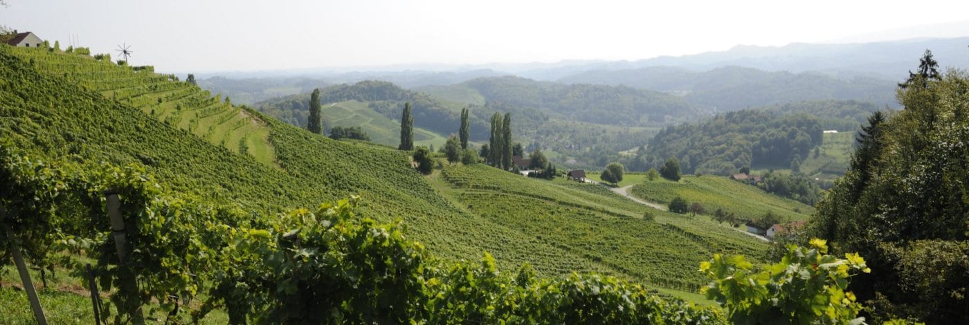 Ferienhaus mieten Österreich am Weinberg